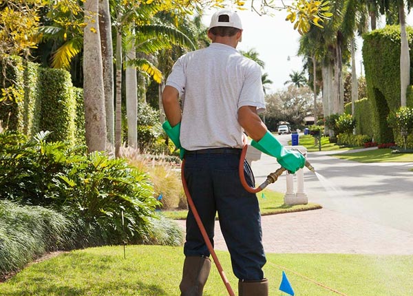 About Hoschton GA Pest Control Pros